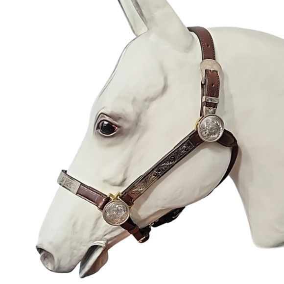 Circle Y Western Silver Show Halter #602 Average Horse Size - Picture 1 of 10